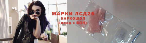 индика Алексин